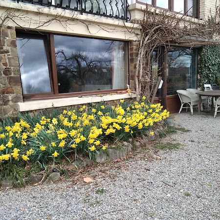 Dinant La Bergeronnette Avec La Chaleur Du Feu De Bois Et Le Jardin Villa Екстериор снимка