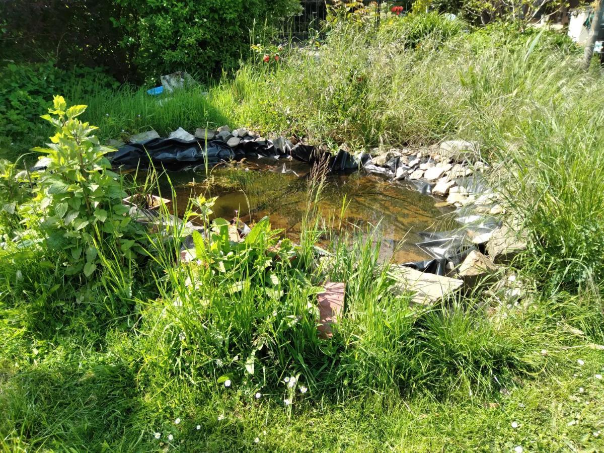 Dinant La Bergeronnette Avec La Chaleur Du Feu De Bois Et Le Jardin Villa Екстериор снимка