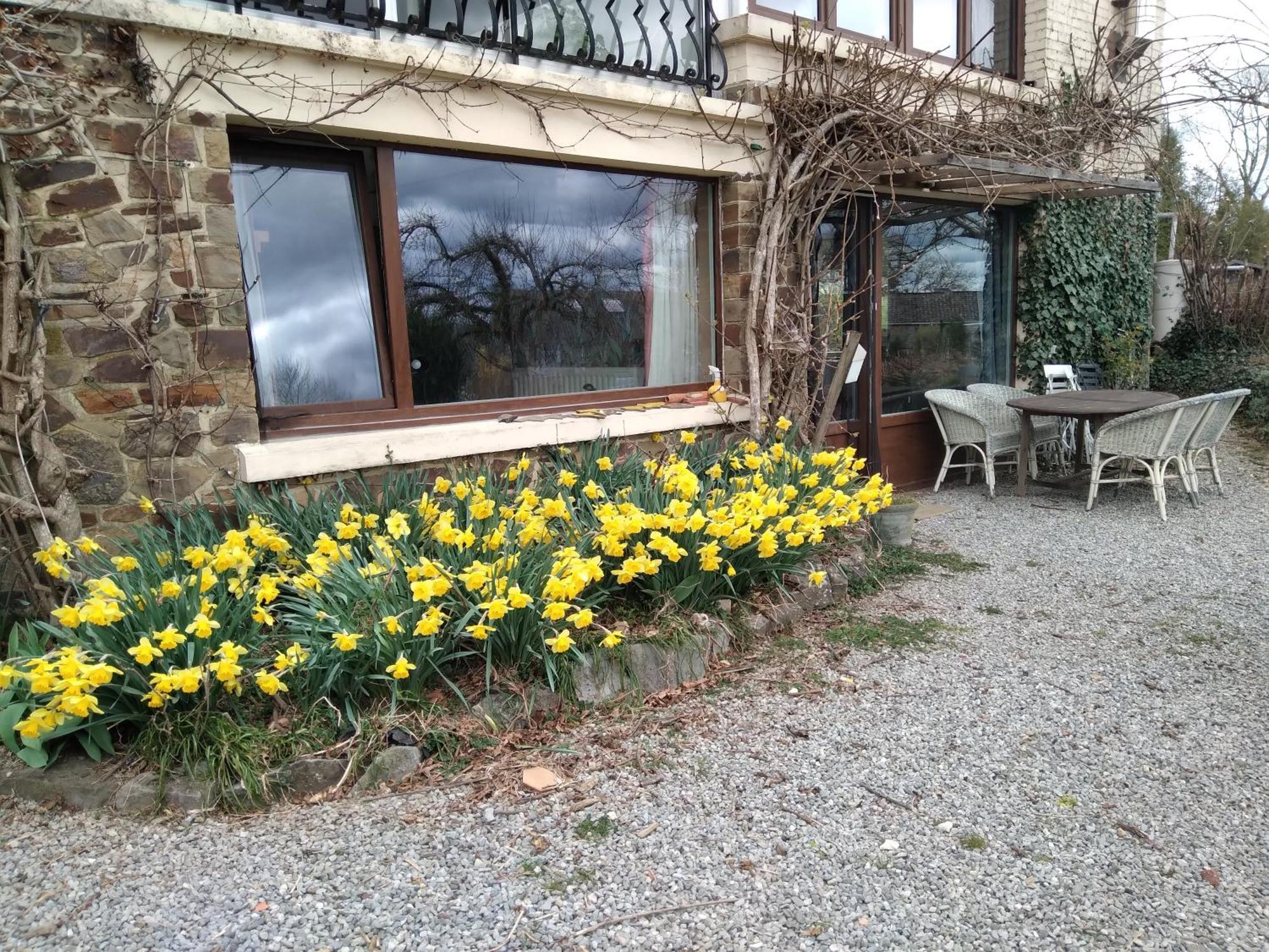 Dinant La Bergeronnette Avec La Chaleur Du Feu De Bois Et Le Jardin Villa Екстериор снимка